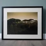 Апартаменты Borghese Design *