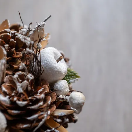 Borghese Design Roma