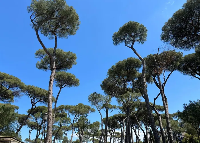 דירה Borghese Design