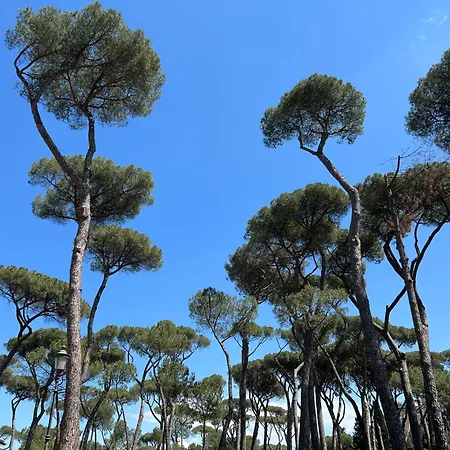 Apartamento Borghese Design